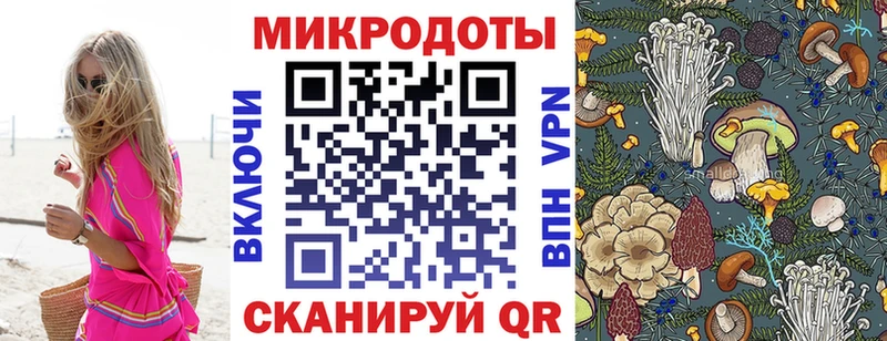 Псилоцибиновые грибы Psilocybine cubensis  как найти закладки  Ясногорск 